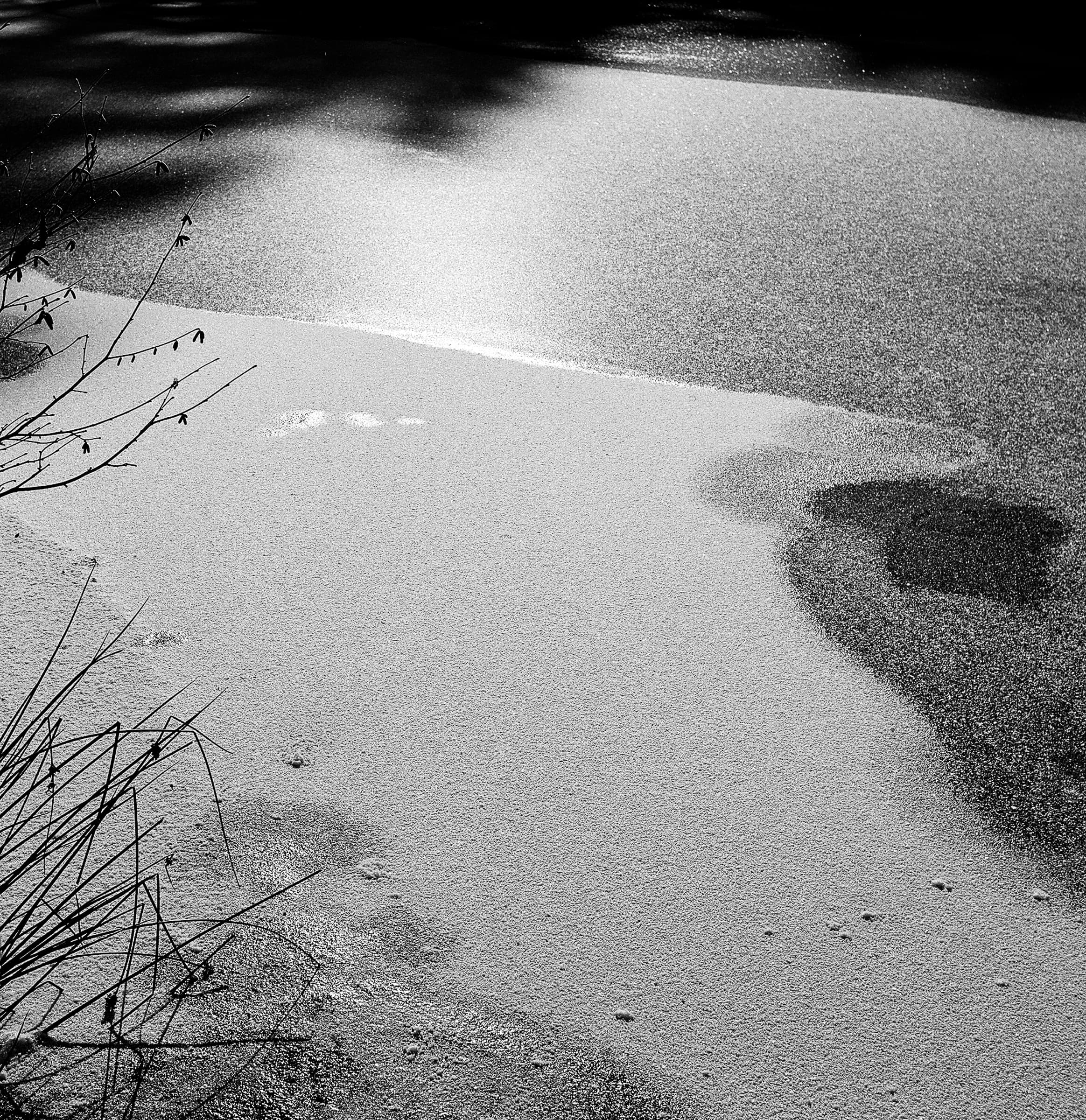 frozenlake