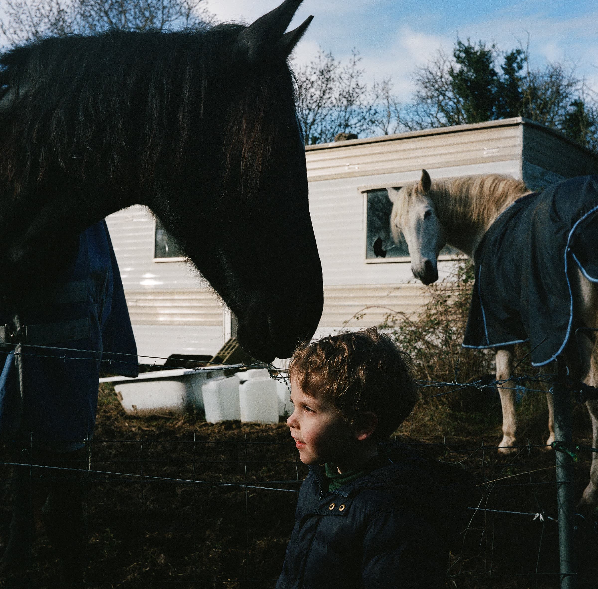 Léonard_et_les_chevaux