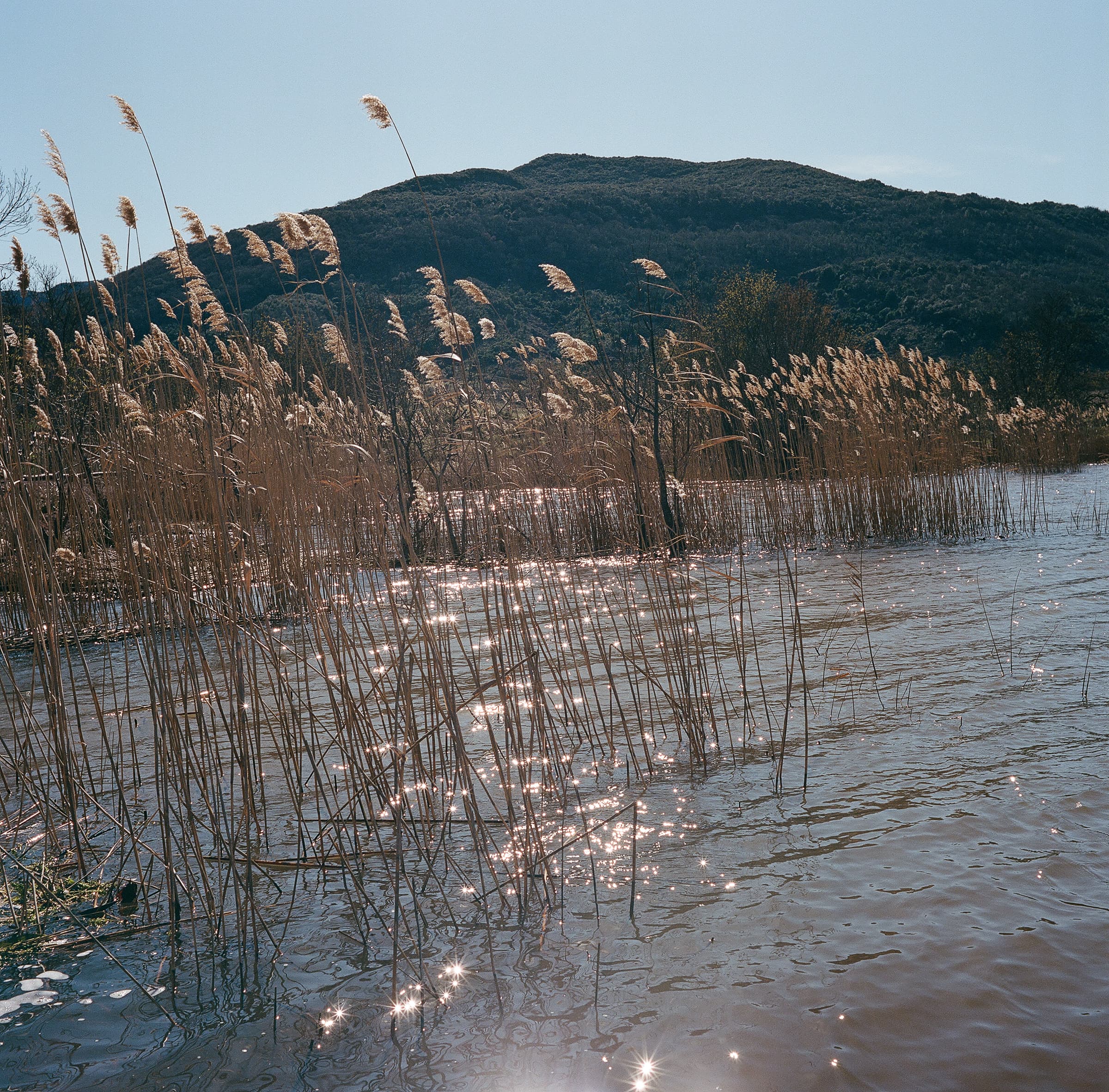 paillettes_salagou