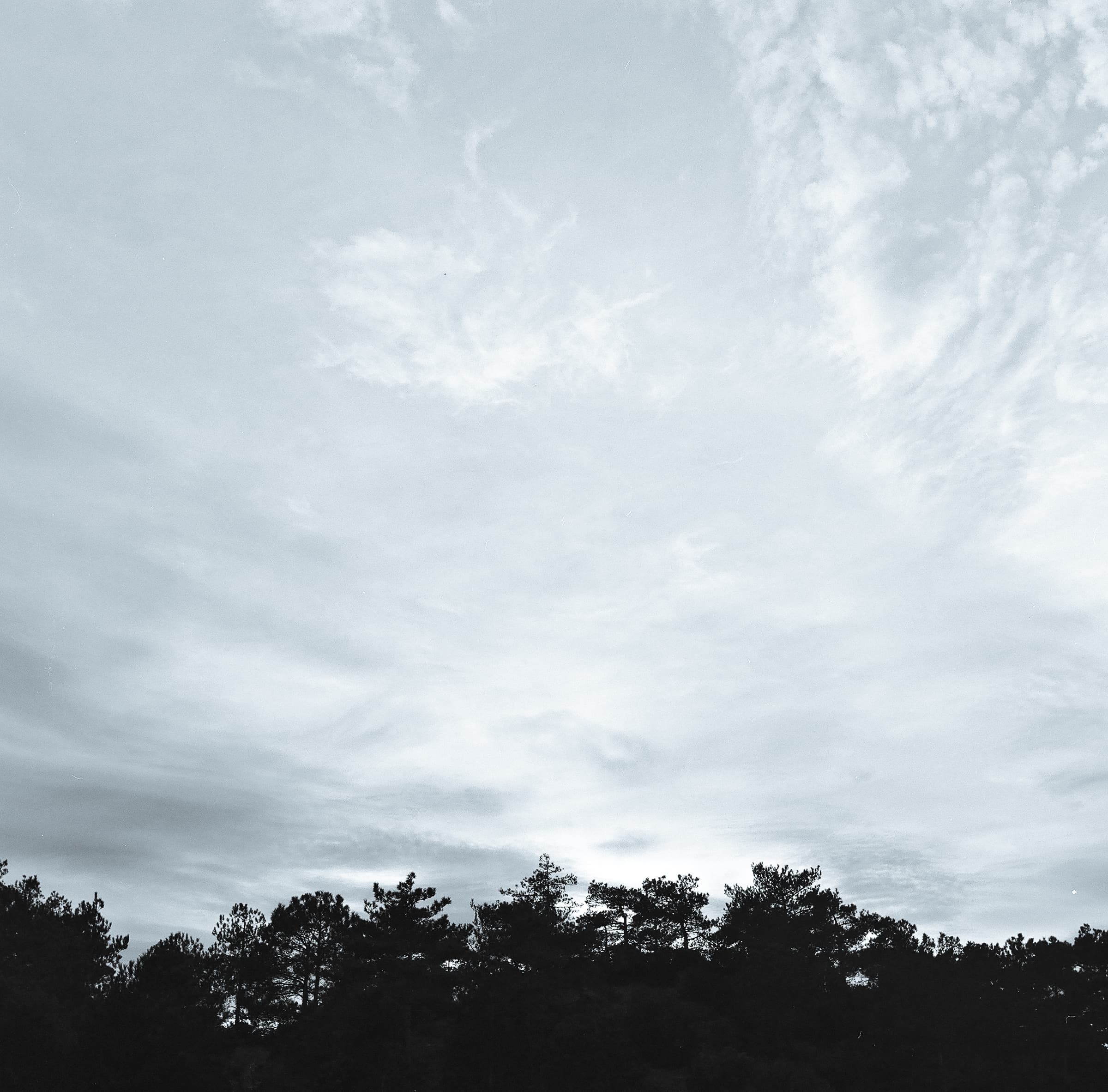 cielgarrigue